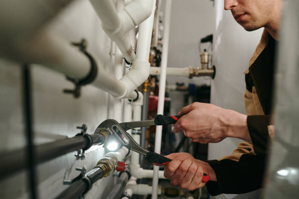 Best Local Plumber Services  in Bodega Bay, CA